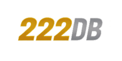 222db Logo